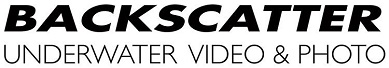 Backscatter logo