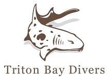 Triton Bay Divers, West Papua, Indonesia logo