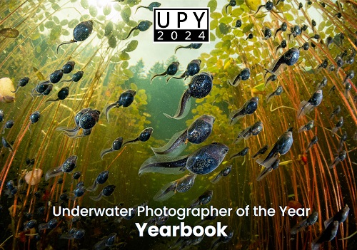 UPY2024 Yearbook cover